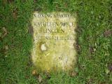 image number Lincoln Kathleen Joyce 611